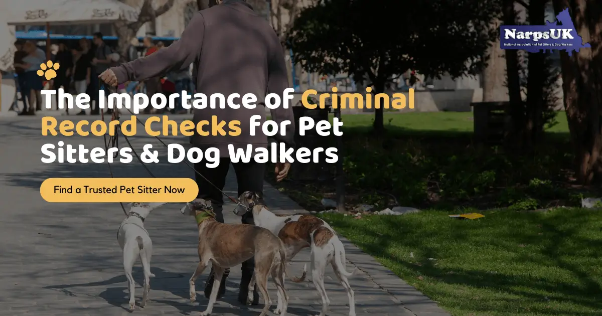 Criminal Record Check for Pet Sitting & Dog Walking